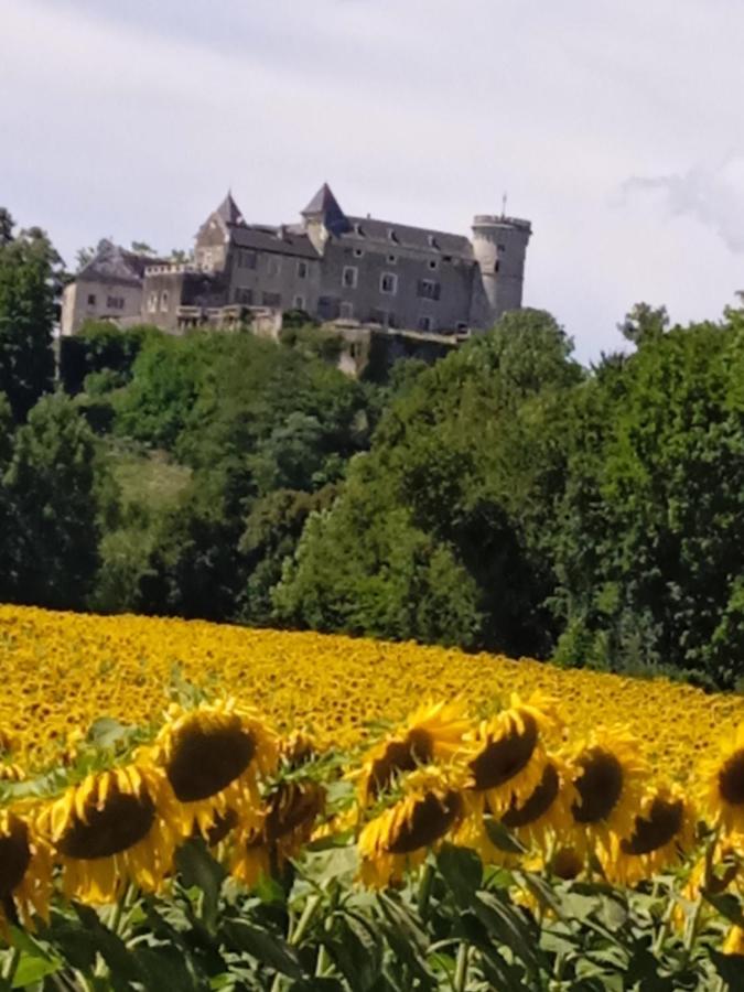 Chez Karine Bed & Breakfast Ceyzerieu Bagian luar foto